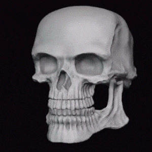 rotating skull